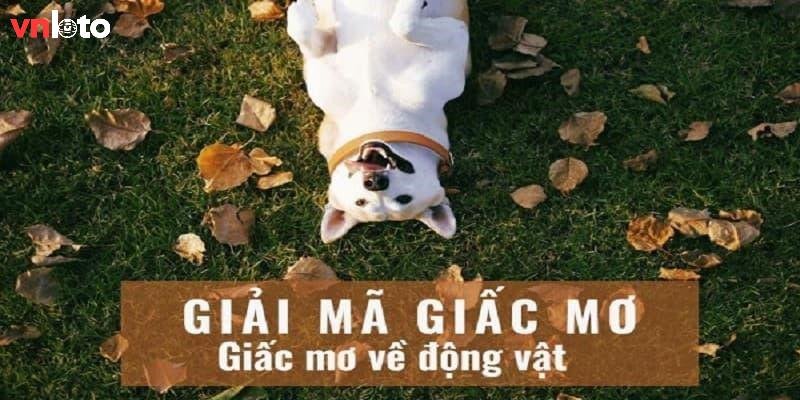 Lô Đề Hôm Nay Về Con Gì - Giải Mã Giấc Mơ Lô Đề Cực Chuẩn